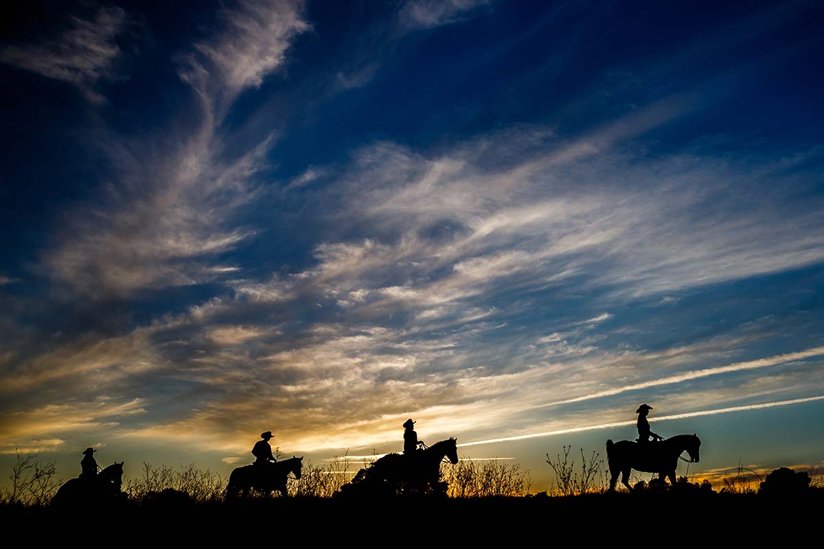 Horses and riders on the trail