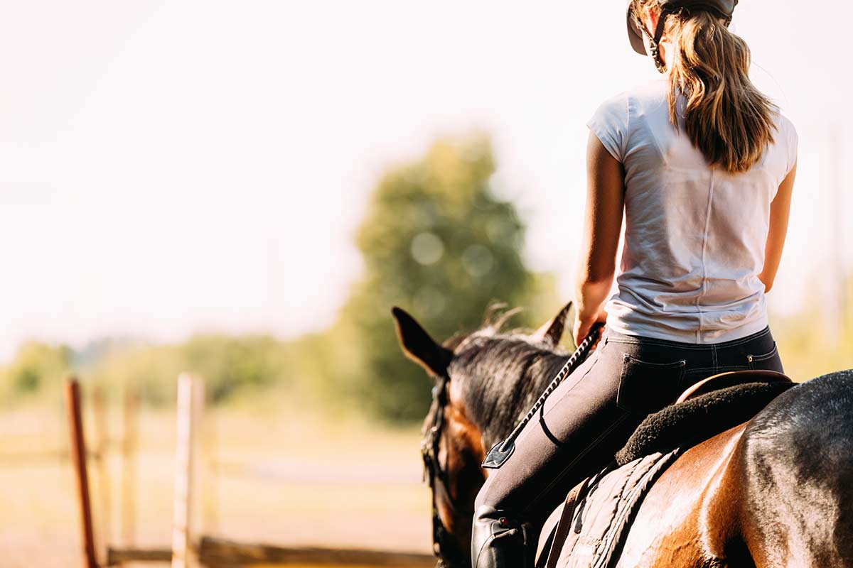 A horse and rider on the trail