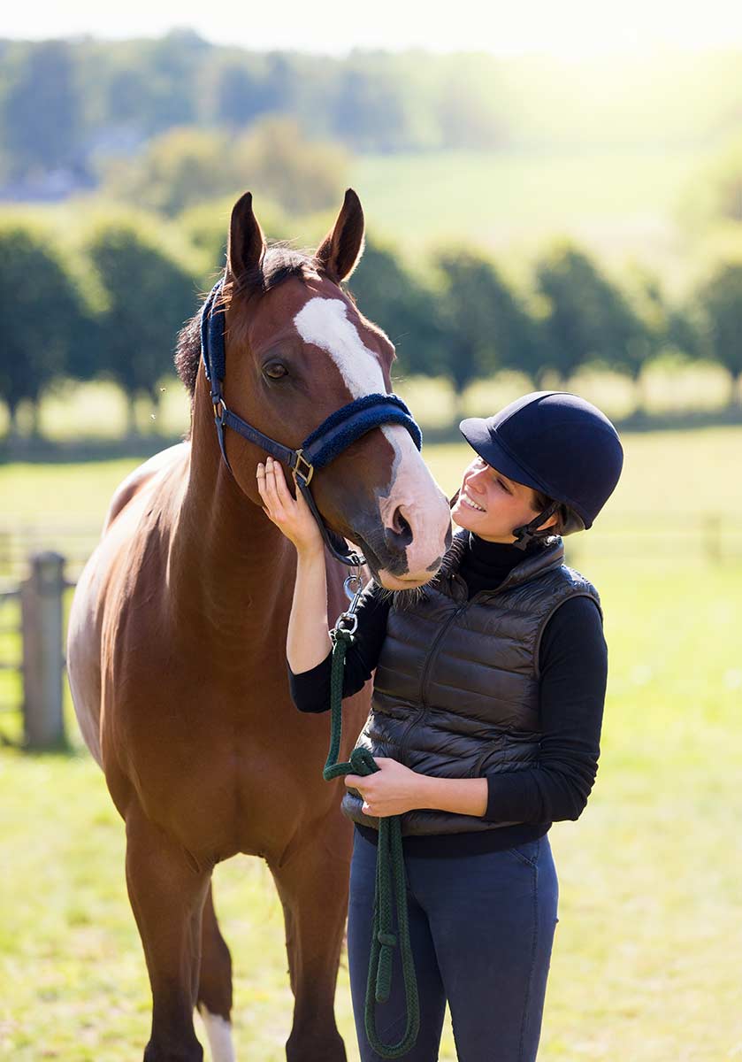 Horse and rider in a field